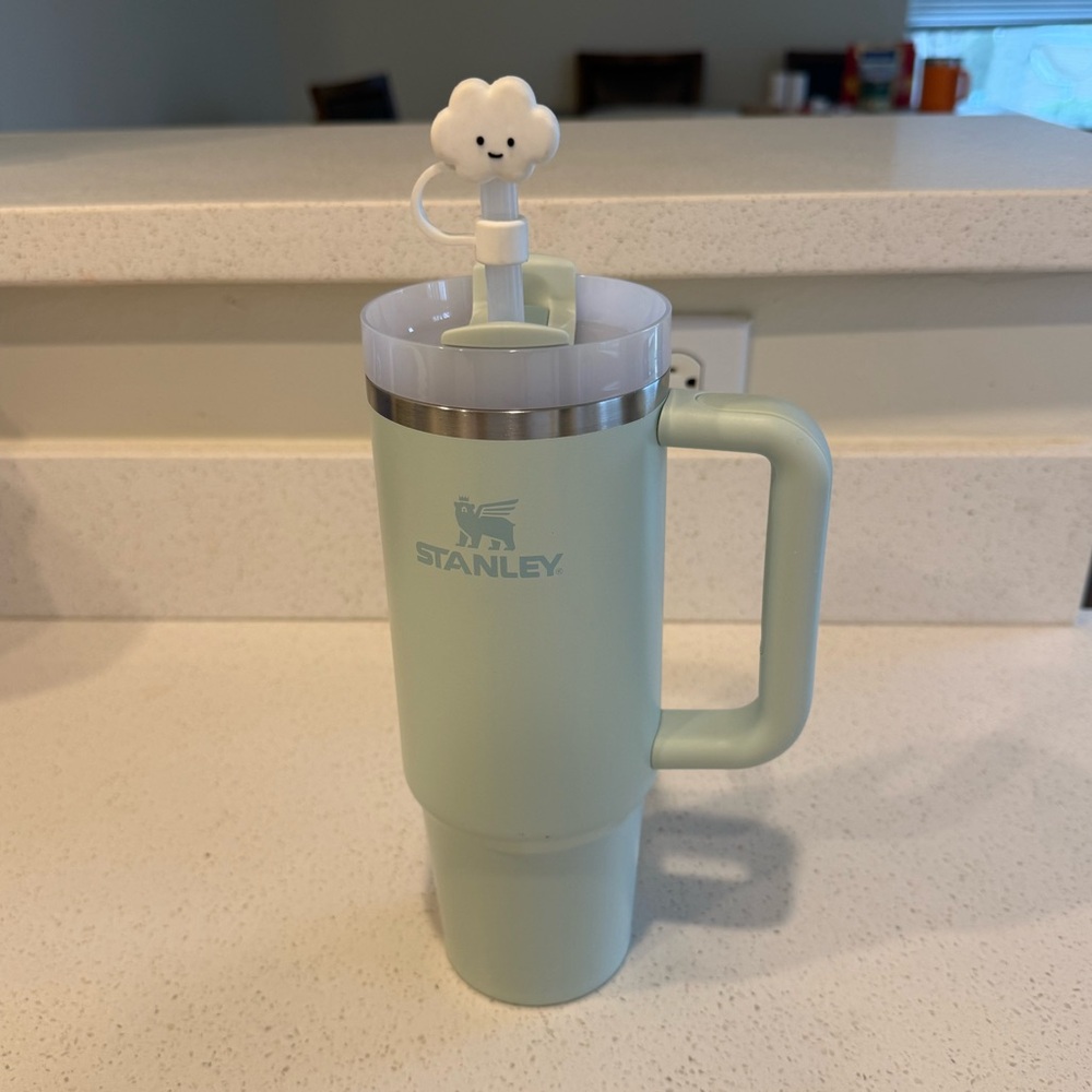 Stanley Mint Green Insulated Travel Tumbler with Handle